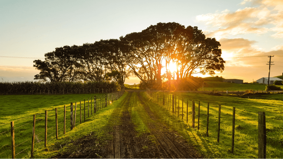 How solar energy can transform your farm.png