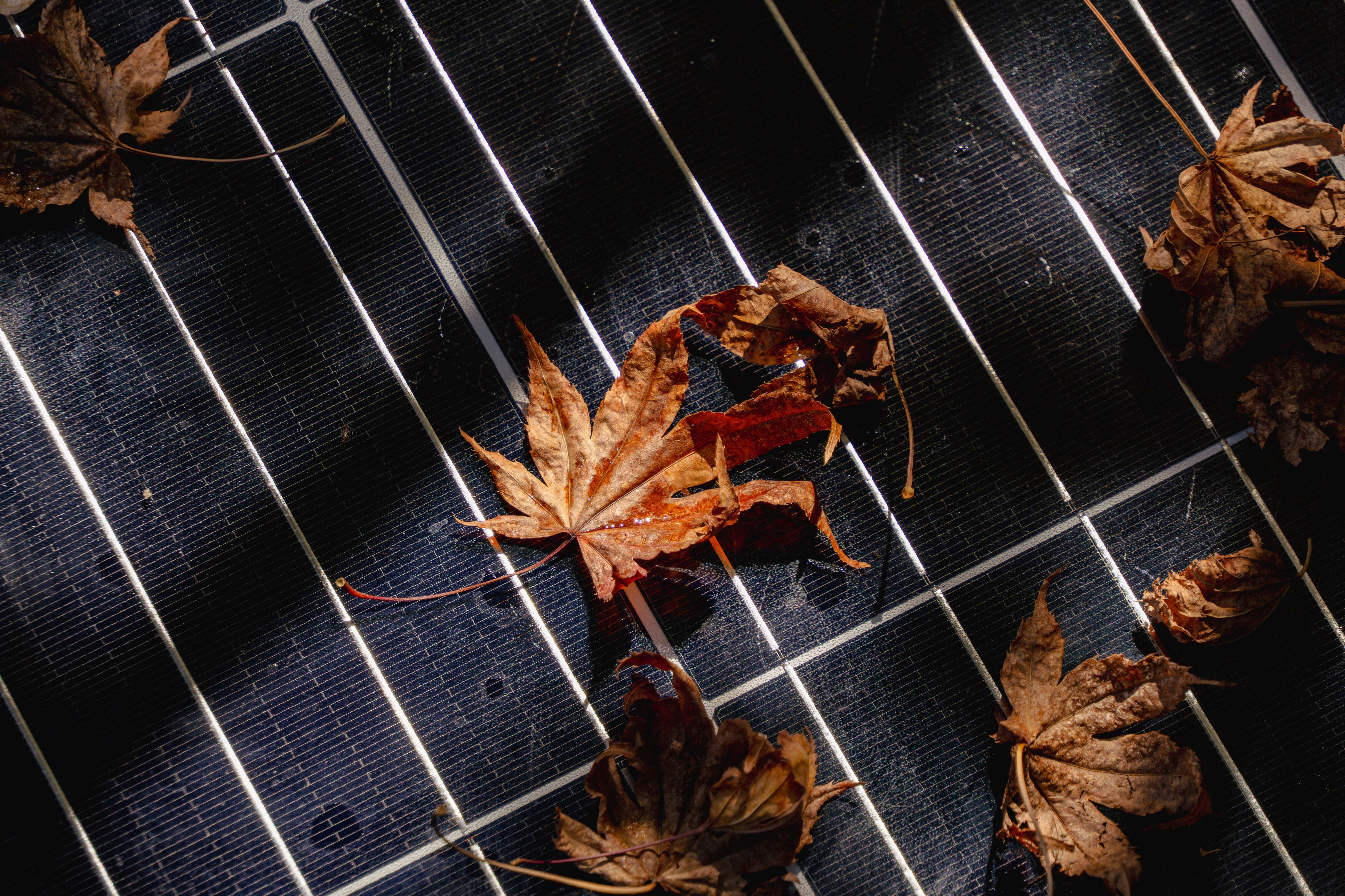dirty-solar-panel-with-dry-leaves-energy-loss-maintenance