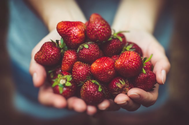 Strawberry fields.jpg