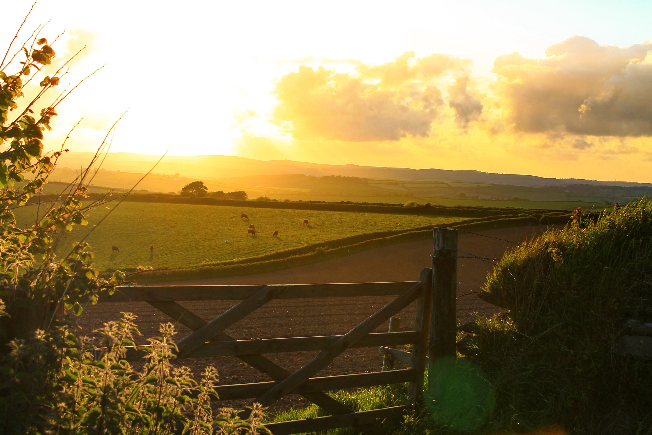 Making your farm more efficient and more affordable with solar energy