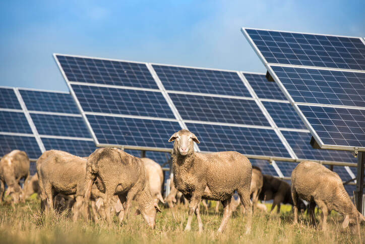 Explained: Solar's potential to lower energy costs on farms