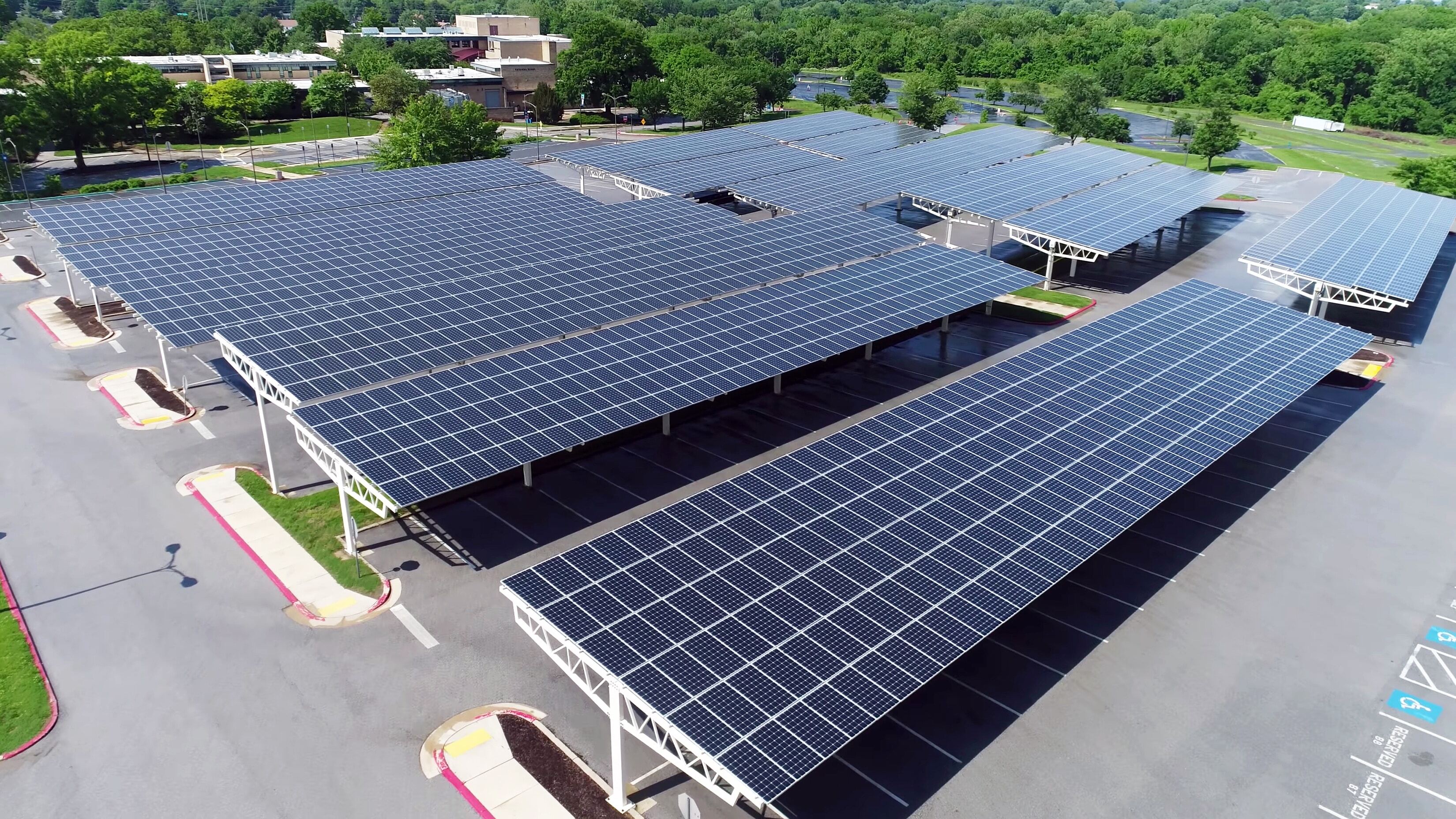 Solar Leasing vs. Buying: Which Is Best for Your NZ Business?