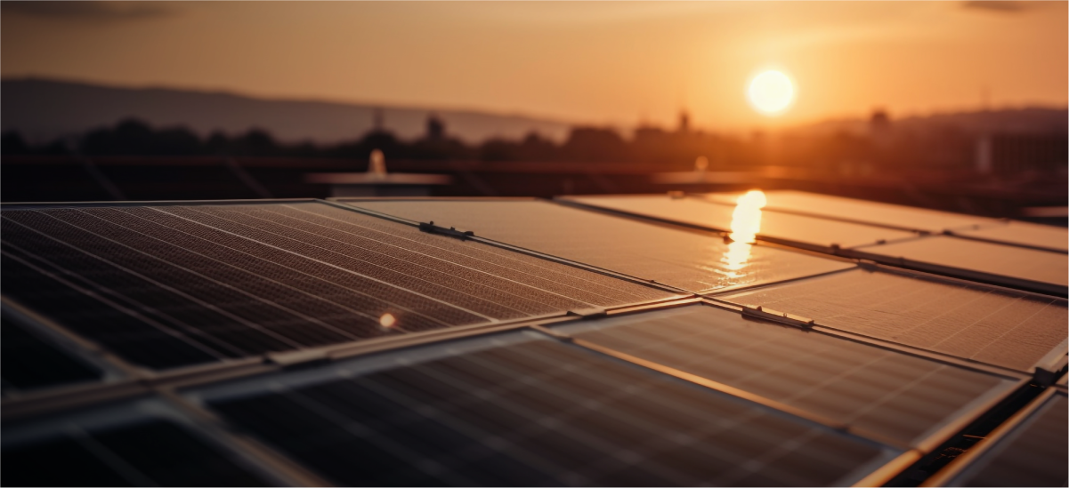 Solar Panel Prices Rising in NZ – 2025 Guide for Homeowners