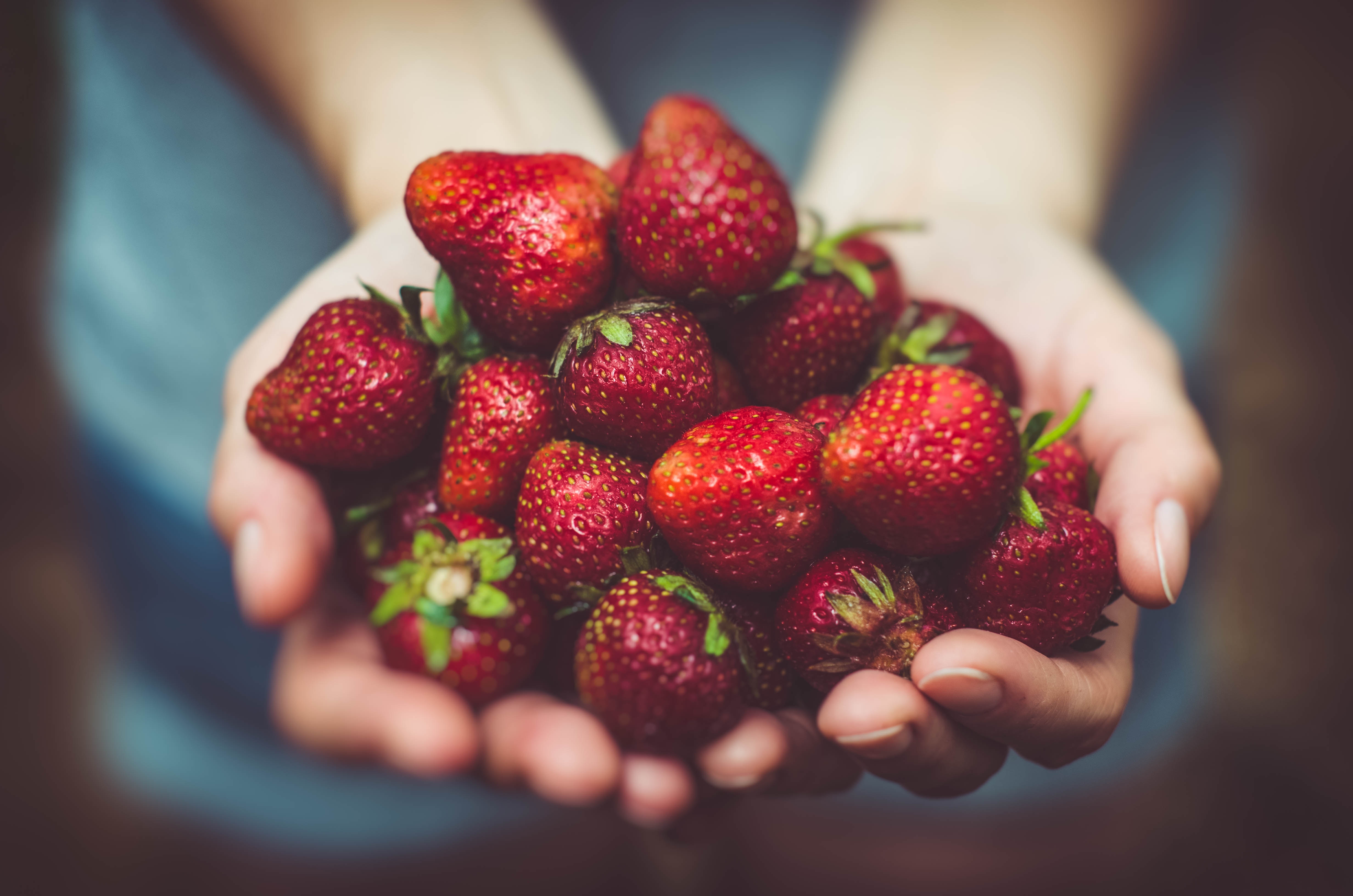 Solar power for horticulture: How growers can utilise the sun’s energy