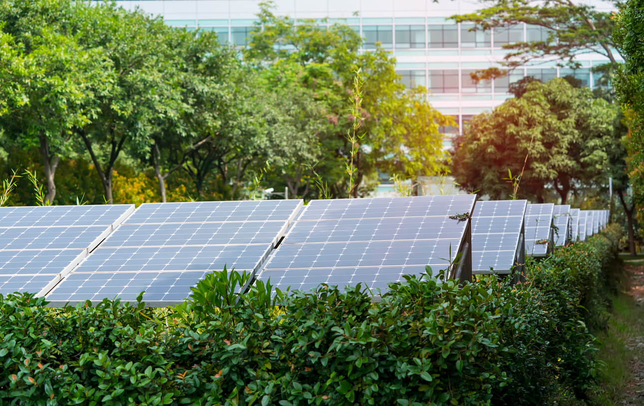 Are solar panels right for your business?